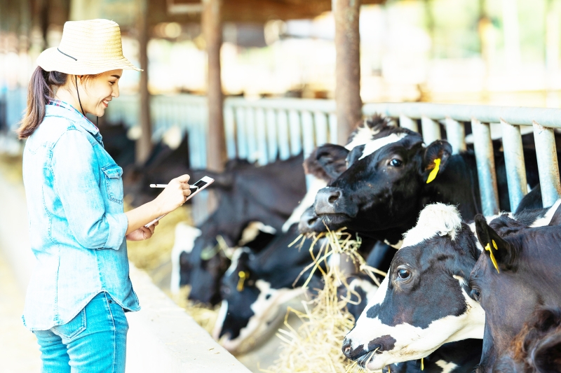 Conseils pour amliorer les performances de votre mlangeuse