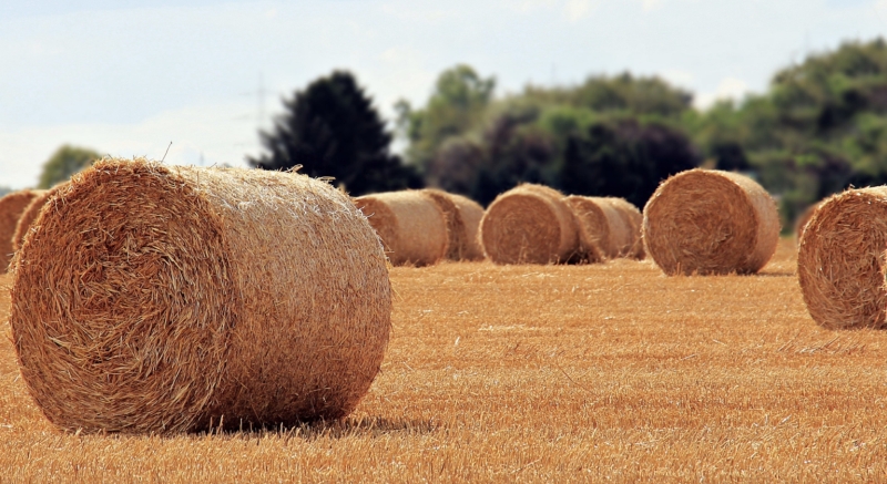 Mlangeuse Unifeed : vaut-il mieux choisir un modle vertical ou horizontal?